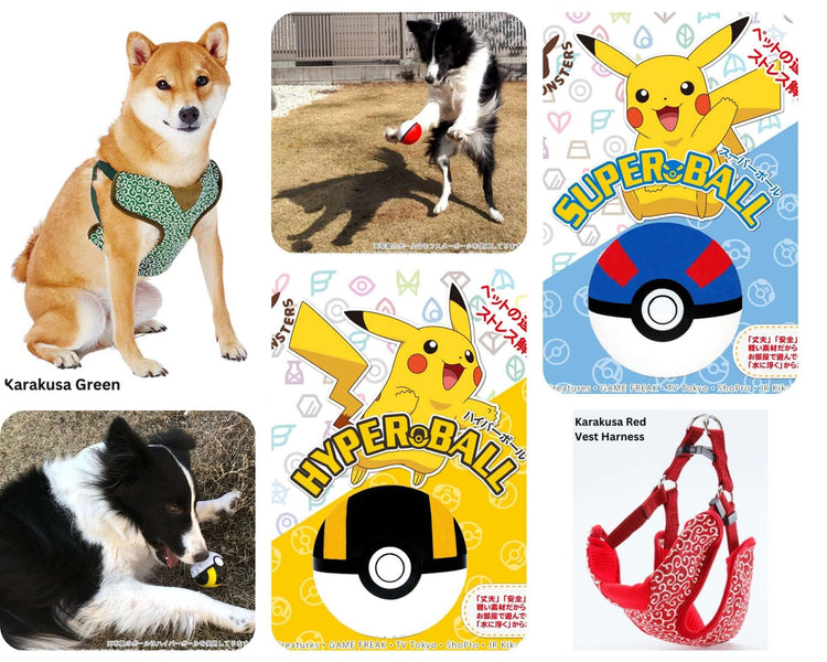 Japanese pet toy, gear and clothing